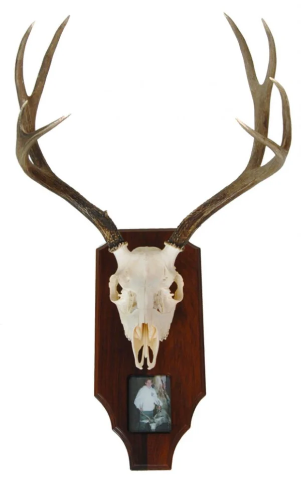 custom mounting plaque